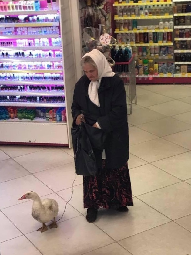 Просто юмор 6