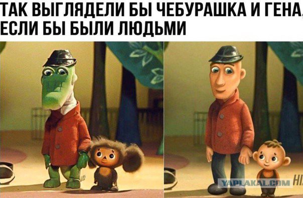 Смешные комментарии из социальных сетей 10.11.2017