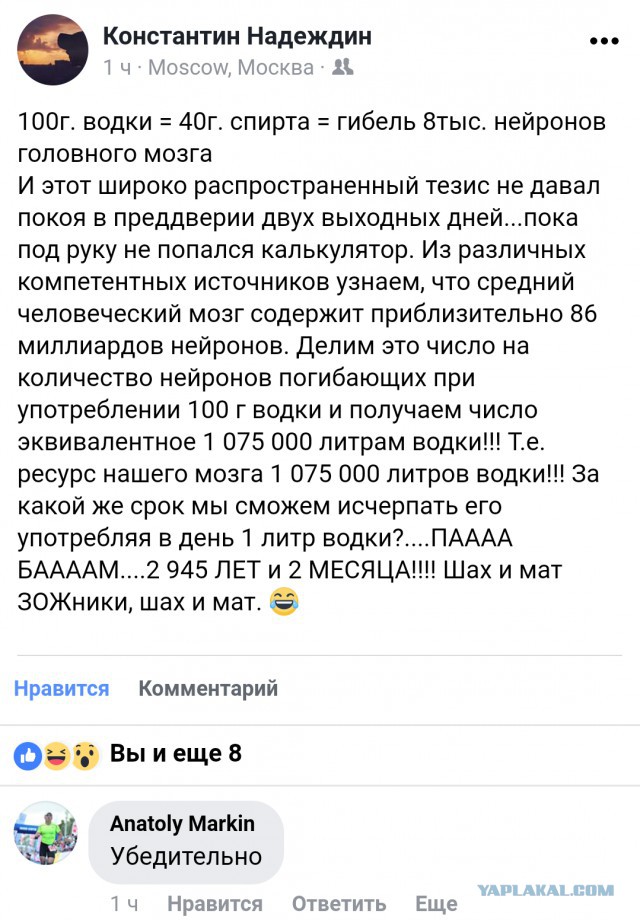 Картинки для настроения в пятницу.