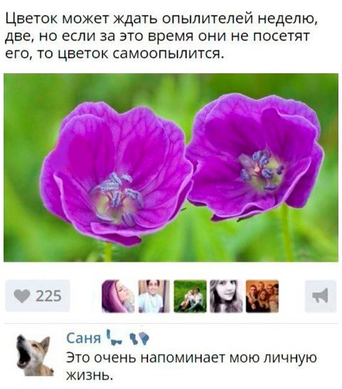 Смешные комментарии из социальных сетей 08.12.2017
