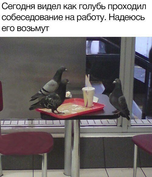 Прикольные картинки абавсём
