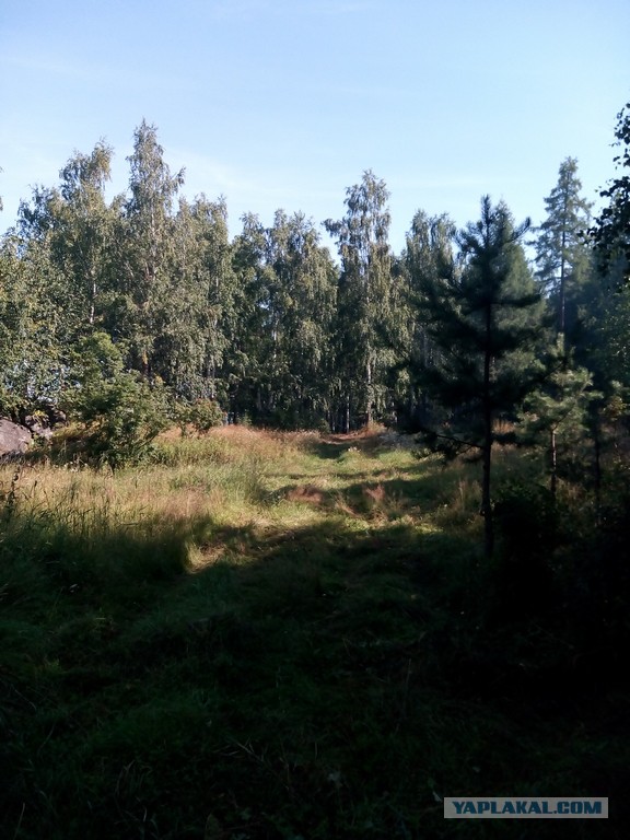 Братья и сестры