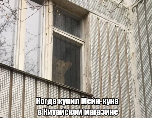 Прикольные картинки абавсём