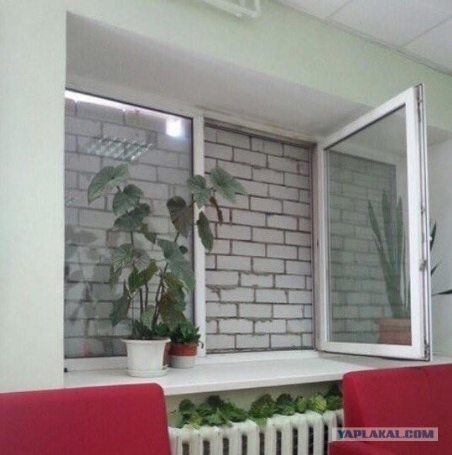 Нестандартный юмор