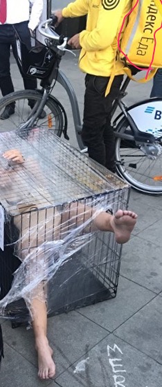 В Москве у здания ФСБ обнаженная девушка забралась в клетку с надписью «Груз 300»