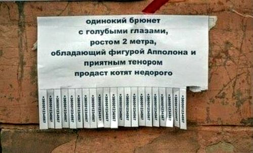Картинки разные нужны, картинки всякие важны