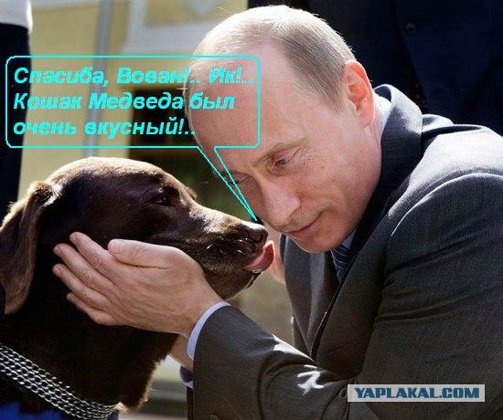 Путин и лабрадор