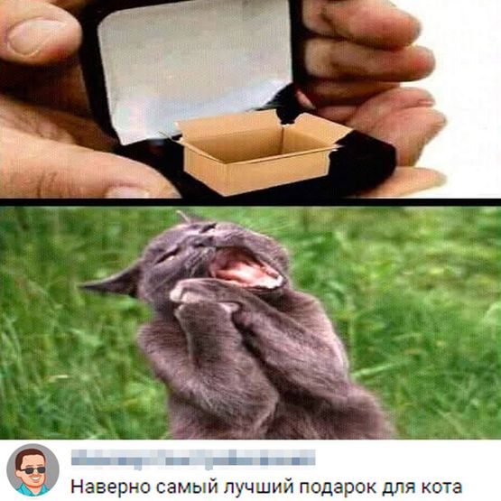 Подведём игоги