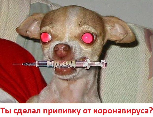 Число заболевших новым типом коронавируса в Китае резко возросло