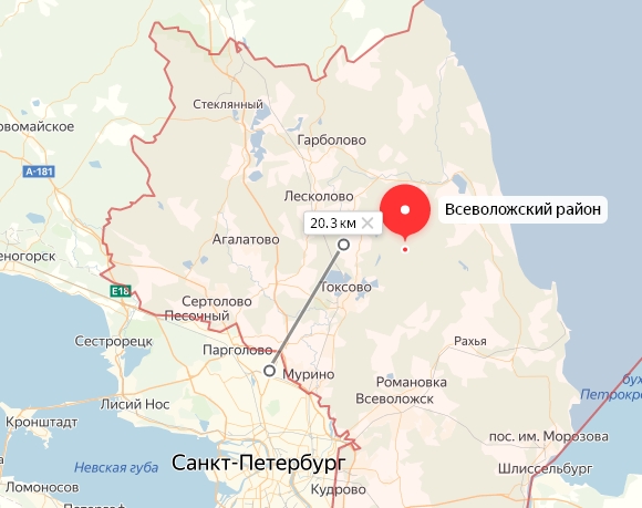 Зашел в метро и пропал: загадочное исчезновение студента в Петербурге
