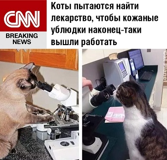 Бредзона 01.05.20