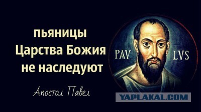 Белочка, запой и прозрачные сущности. Как я за две недели пропил сто тысяч