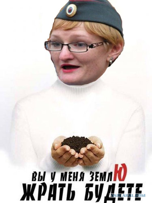 Фотожаба: Наши доблесные органы
