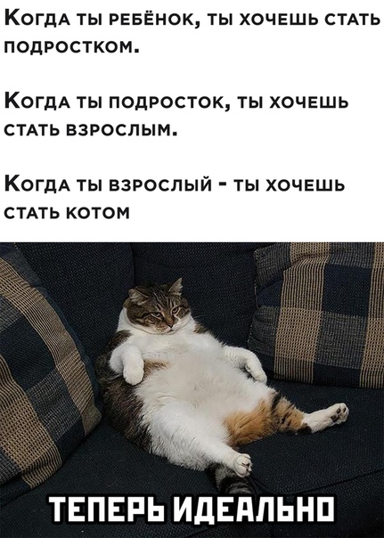 Немного картинок для настроения 05.11.20