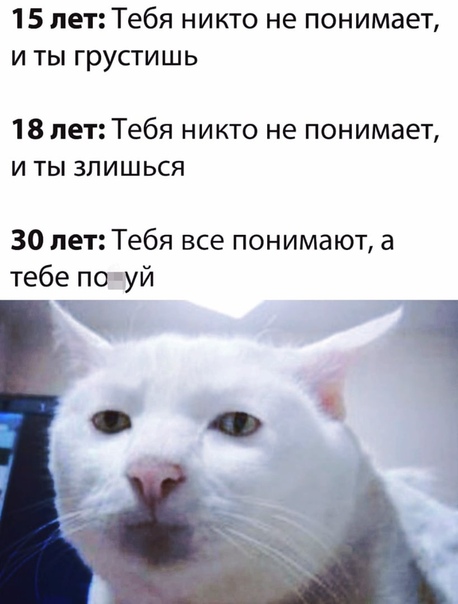 Немного картинок для настроения 18.11.20
