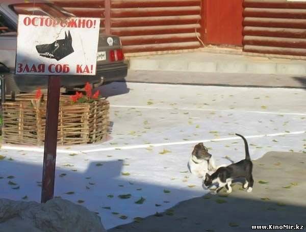 Картинки 21.03.21