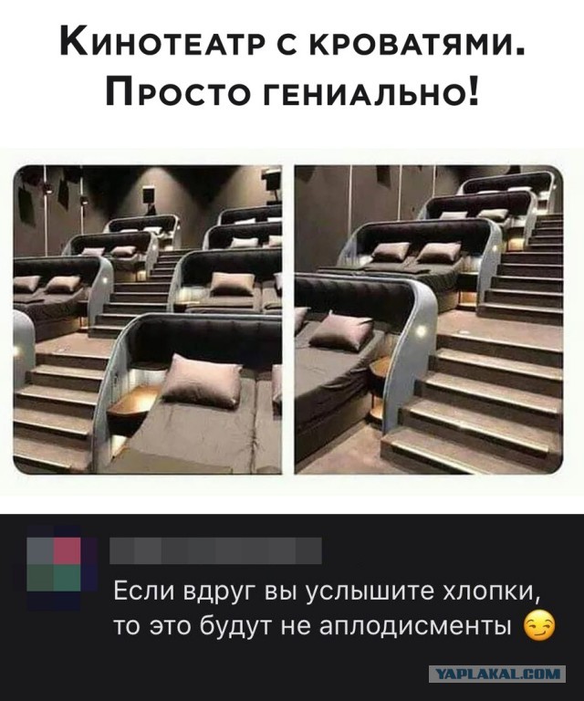 КАРАнтинки, новости с юмором