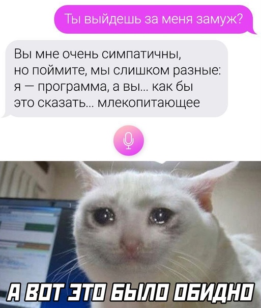 Картинки и мемы для настроения 024
