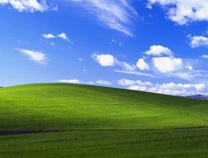 Windows XP исполнилось 20 лет