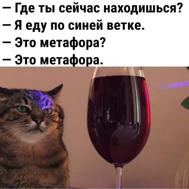 Алкопост 1.11.21