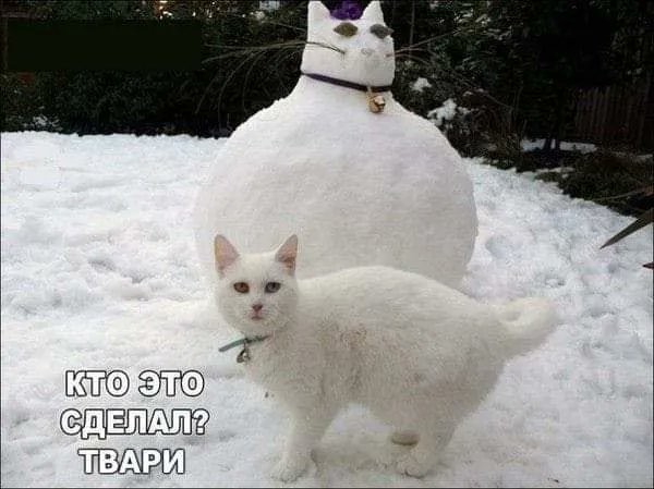 Картинки на выходные 12.12.21