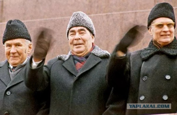 Кто такой этот пыжик, из меха которого носили шапки в СССР - ЯПлакалъ