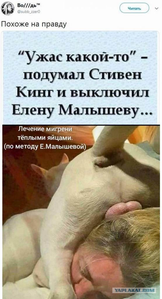 Баянисто-небаянистый юмор 8.01.22