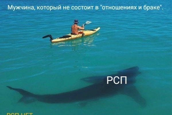 Разбавить политу на ЯП