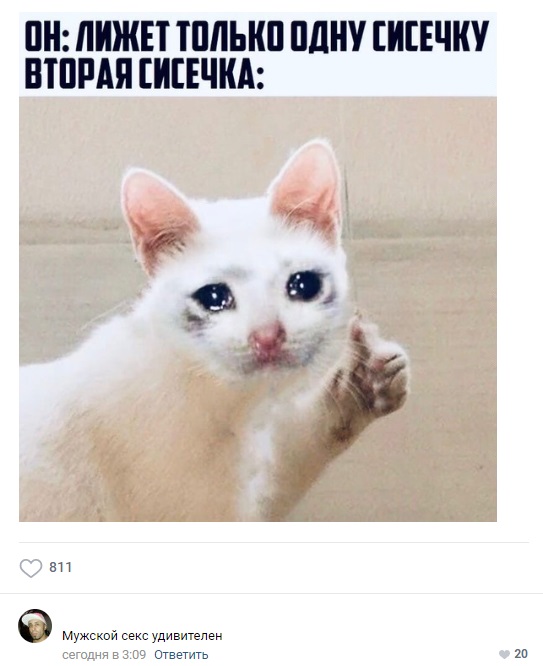 Забавные и веселые картинки