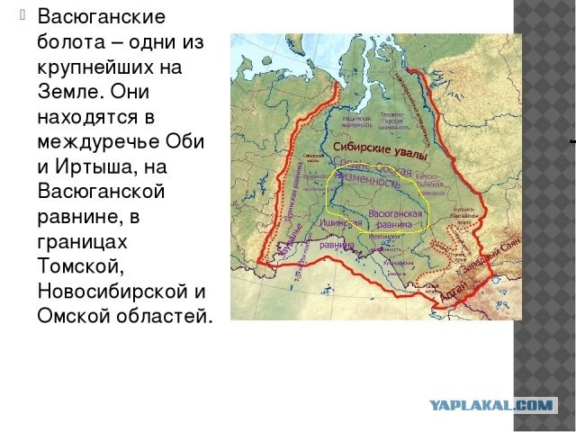 Васюганские болота: крупнейшая топь в мире, которая охватывает 5 областей России