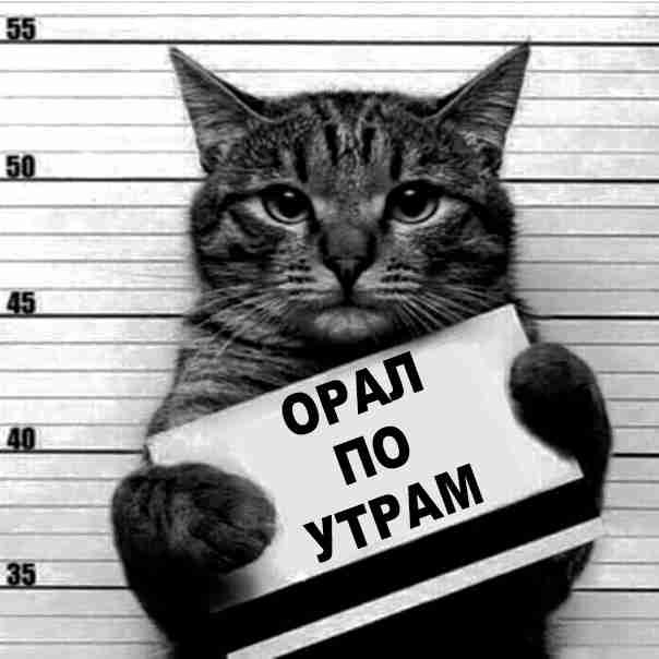 Актуальное...
