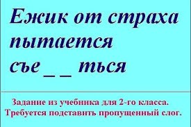 Маленький ежик