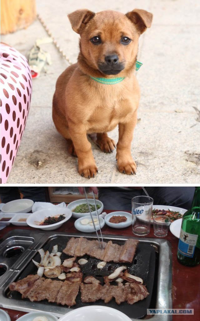 НЕтуристическая Корея