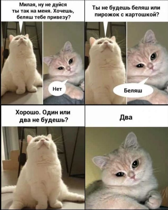 Немного картинок для настроения - 119