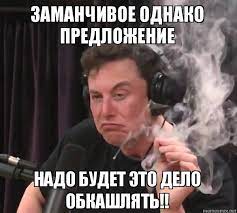 Илон Маск опубликовал ещё один пост с опросом