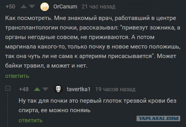 Немного чёрно-пошлой деградации на среду