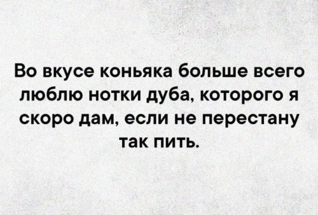 Алкопост 12.11.22