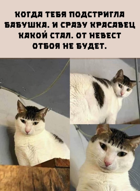 Немного картинок для настроения - 137