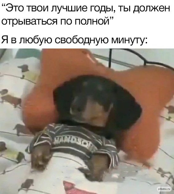 Картинки и мемы, всяко разно - 179