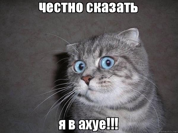 Мясной Бор, Долина смерти…