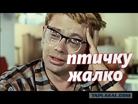 Удар