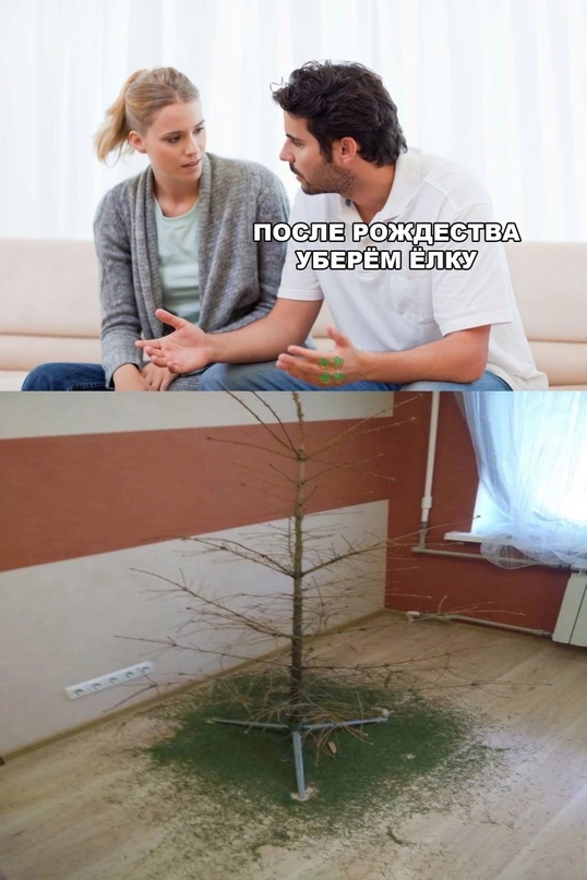 Весёлый полтишок 02.01.24