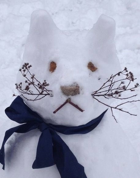 Котики из снега и котики на снегу