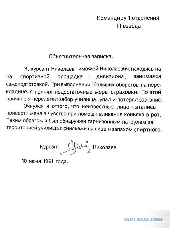 20 забавных  картинок