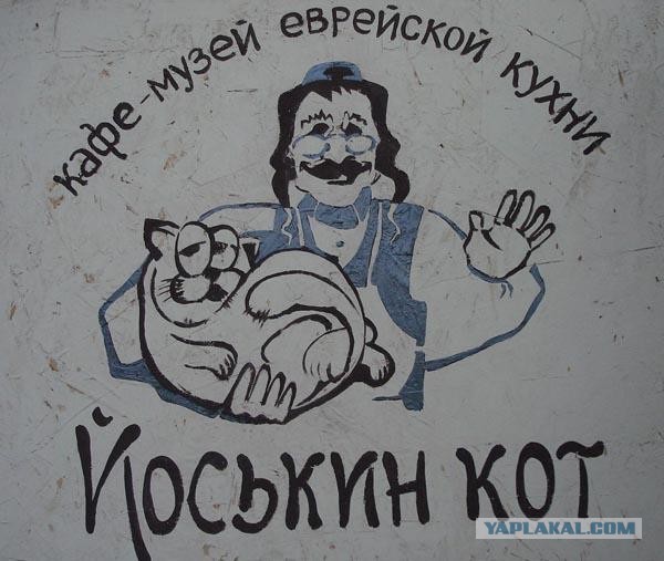 Наш новый член семьи ЙосЯ