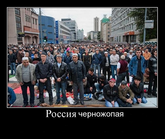 Врачи-мигранты.