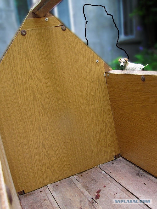 Будка своими руками.