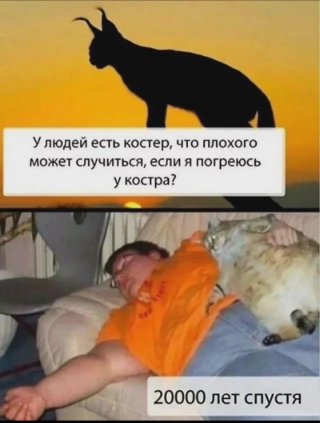 К котовторнику: подборка картинок-баянов с котиками и про котиков. Выпуск 26.