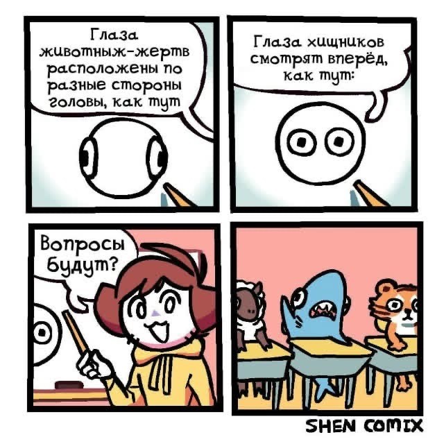 Немного картинок