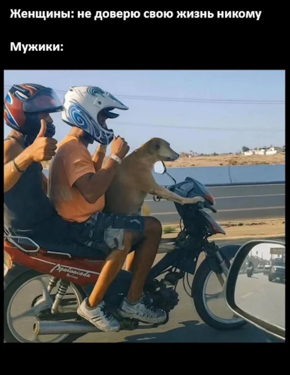 Картиночки, баянчики 06 апреля